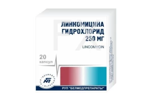 ЛИНКОМИЦИНА ГИДРОХЛОРИД р-р д/ин. (амп.) 30% - 1мл n10 Белмедпрепараты